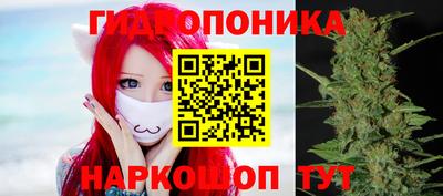 соль ск Новокубанск
